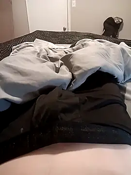 Mstrdstrctn7 online show from 4, 1, 2025