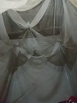 Ila-min online show from 20, 6, 2026