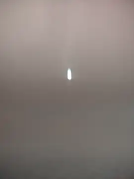 sexyzoya55 online show from 19, 6, 2026