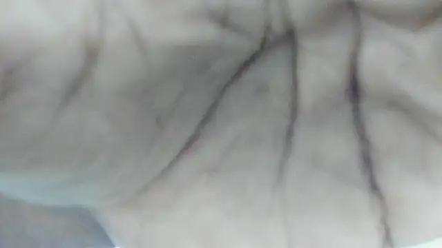 Snapshot of Philip_Cuellar chatting on 23, 7, 2026 Philip Cuellar online show from 23, 7, 2026