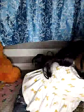 Snapshot of pinki-rani1 chatting on 7, 7, 2026 pinki-rani1 online show from 7, 7, 2026
