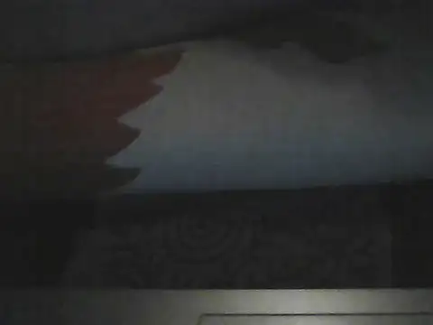 Snapshot of butterflywngs chatting on 10, 7, 2026 butterflywngs online show from 10, 7, 2026