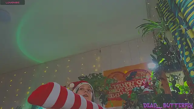 Dead Butterfly online show from 27, 12, 2024