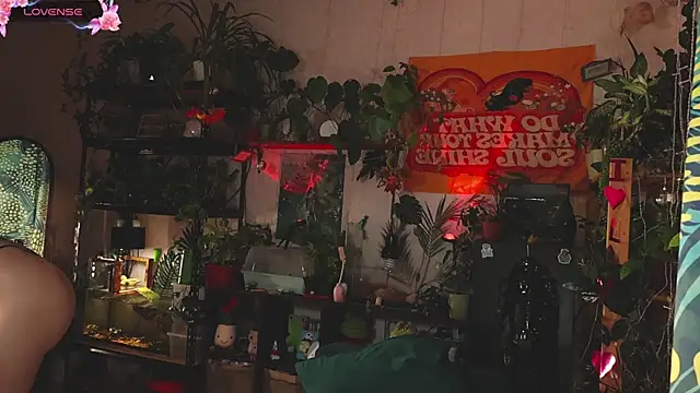 Dead Butterfly online show from 1, 11, 2025