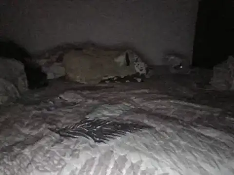 bscc online show from 31, 1, 2025