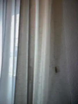 Snapshot of Chic_desire chatting on 20, 3, 2026 Chic desire online show from 20, 3, 2026