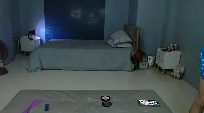 Snapshot of _FoxyFlair chatting on 28, 2, 2025  FoxyFlair online show from 28, 2, 2025