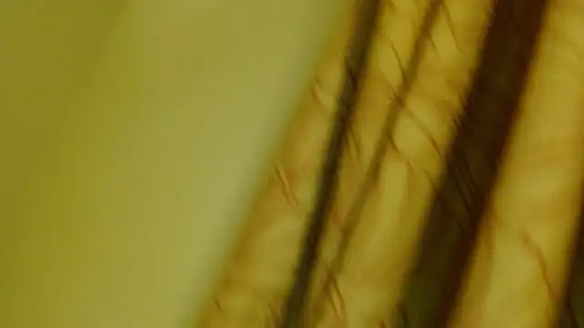 Snapshot of digbicku chatting on 12, 10, 2025 digbicku online show from 12, 10, 2025