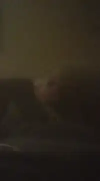 Biknight online show from 9, 12, 2024