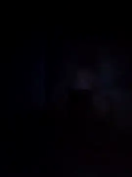 Biknight online show from 12, 12, 2024