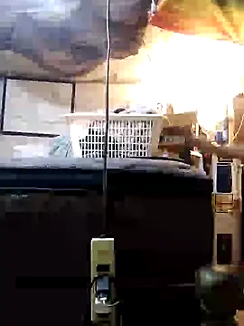 Biknight online show from 31, 12, 2024