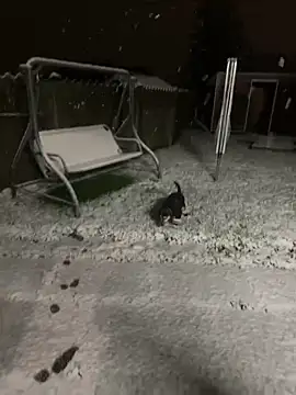 DannaaMeliza online show from 9, 1, 2025