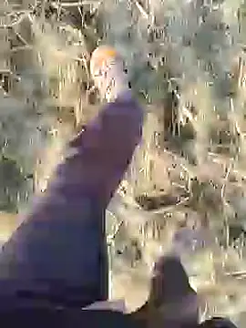 Snapshot of ThethunderPo chatting on 19, 12, 2024 ThethunderPo online show from 19, 12, 2024