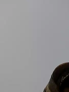 Snapshot of ThethunderPo chatting on 27, 12, 2024 ThethunderPo online show from 27, 12, 2024