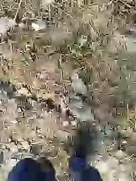 Snapshot of ThethunderPo chatting on 28, 12, 2024 ThethunderPo online show from 28, 12, 2024