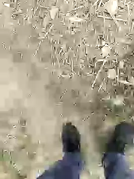 Snapshot of ThethunderPo chatting on 4, 1, 2025 ThethunderPo online show from 4, 1, 2025