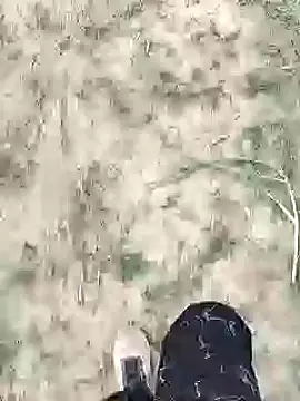 Snapshot of ThethunderPo chatting on 18, 1, 2025 ThethunderPo online show from 18, 1, 2025