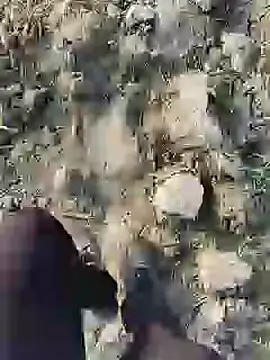 Snapshot of ThethunderPo chatting on 19, 1, 2025 ThethunderPo online show from 19, 1, 2025