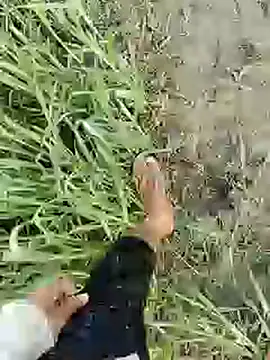 Snapshot of ThethunderPo chatting on 19, 2, 2025 ThethunderPo online show from 19, 2, 2025