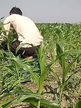 Snapshot of ThethunderPo chatting on 3, 3, 2025 ThethunderPo online show from 3, 3, 2025