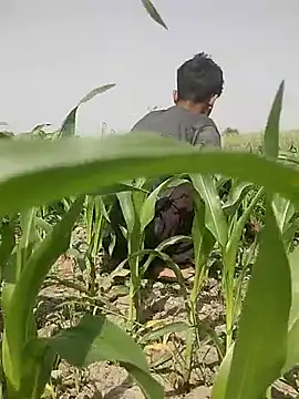 Snapshot of ThethunderPo chatting on 5, 3, 2025 ThethunderPo online show from 5, 3, 2025