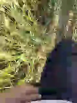 Snapshot of ThethunderPo chatting on 18, 3, 2025 ThethunderPo online show from 18, 3, 2025