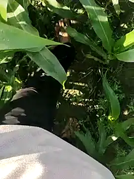 Snapshot of ThethunderPo chatting on 19, 3, 2025 ThethunderPo online show from 19, 3, 2025