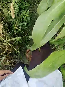 Snapshot of ThethunderPo chatting on 21, 3, 2025 ThethunderPo online show from 21, 3, 2025