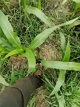 ThethunderPo online show from 15, 3, 2026