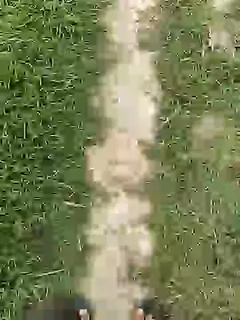 ThethunderPo online show from 1, 4, 2026