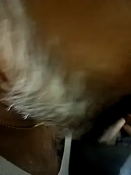 bossno2596 online show from 22, 4, 2026