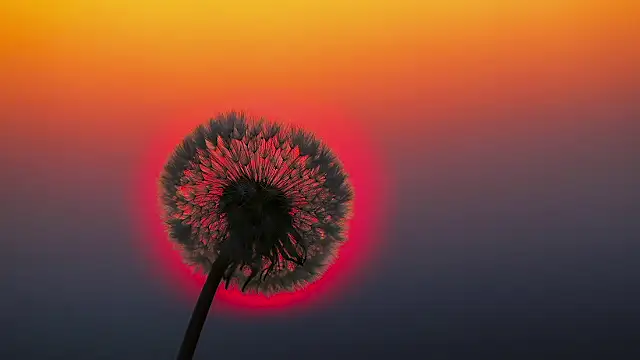 Sunning2 online show from 16, 9, 2025