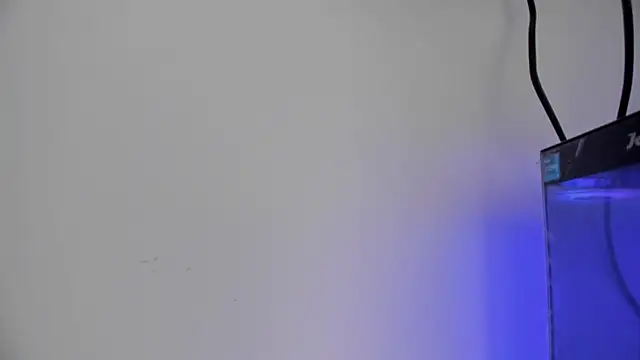 moonsweet1 online show from 14, 3, 2025