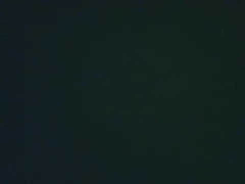 lonelycock33 online show from 4, 11, 2025