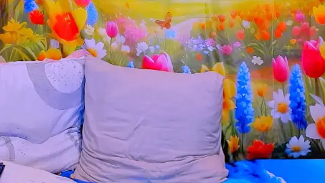 indianroxy online show from 24, 3, 2026