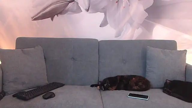 sofiasteven online show from 13, 3, 2026