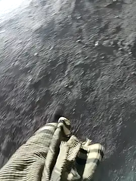 Snapshot of Bengali_BULL1 chatting on 17, 11, 2025 Bengali BULL1 online show from 17, 11, 2025