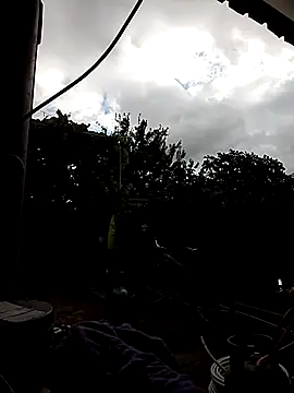 sarpe4 online show from 12, 10, 2025