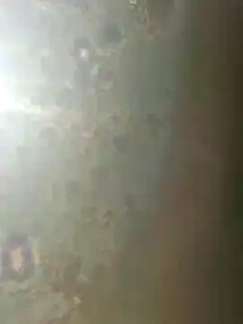 misscectito13 online show from 18, 11, 2025