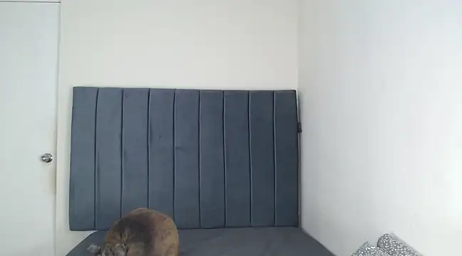 Snapshot of Chanelsexyy chatting on 6, 3, 2025 Chanelsexyy online show from 6, 3, 2025