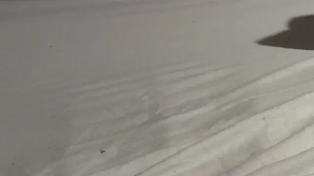 Vandrino online show from 15, 3, 2025