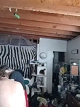 N8daMac online show from 11, 11, 2025