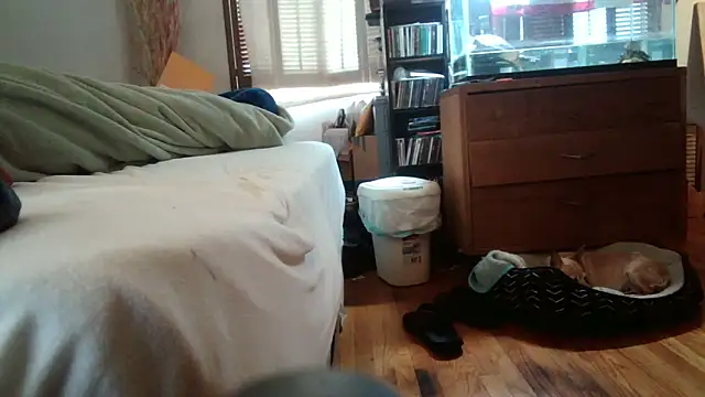 Snapshot of jumpingtomflash chatting on 16, 4, 2026 jumpingtomflash online show from 16, 4, 2026