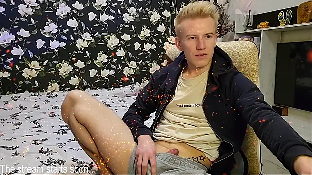 Snapshot of Vuitton chatting on 17, 5, 2026 Vuitton online show from 17, 5, 2026