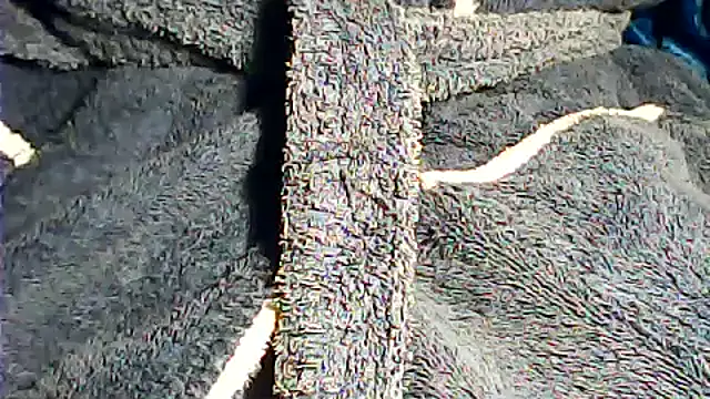 Snapshot of kalinixta chatting on 2, 10, 2025 kalinixta online show from 2, 10, 2025