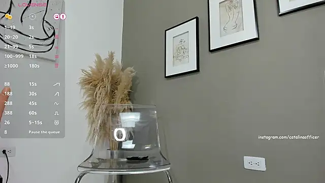 catalinaofficer online show from 25, 12, 2024