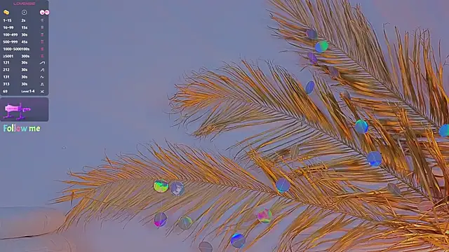 Snapshot of a11yson chatting on 5, 2, 2025 a11yson online show from 5, 2, 2025