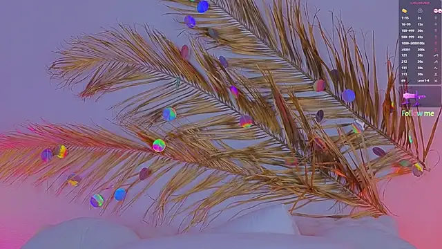 Snapshot of a11yson chatting on 1, 3, 2025 a11yson online show from 1, 3, 2025