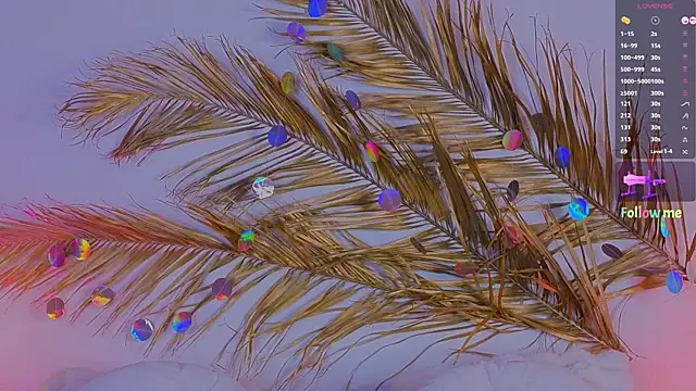 Snapshot of a11yson chatting on 11, 3, 2025 a11yson online show from 11, 3, 2025