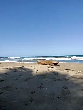 Snapshot of Luna-Natural chatting on 8, 11, 2025 Luna-Natural online show from 8, 11, 2025